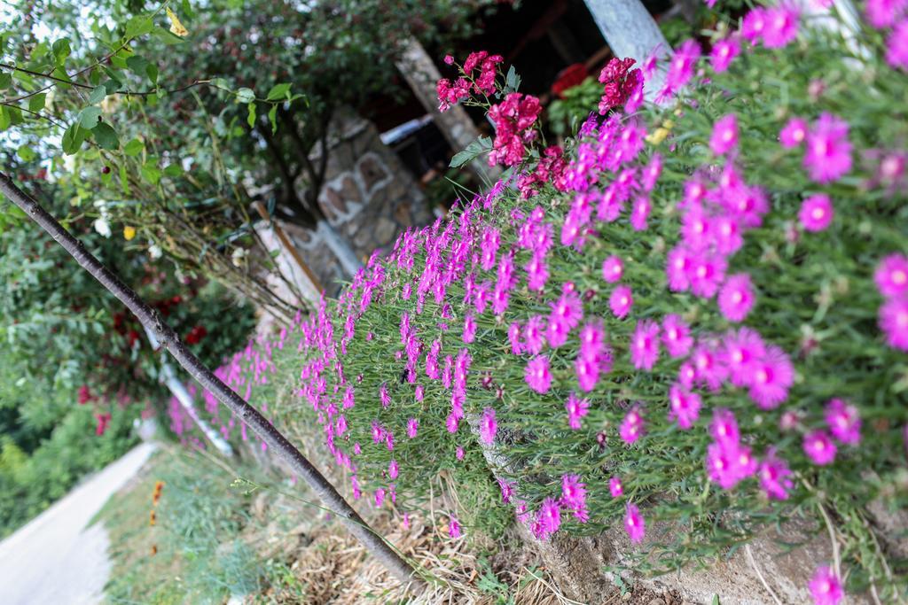 Ana Stjepan Nikolic - Pilgrim'S 2Nd Home Međugorje Dış mekan fotoğraf